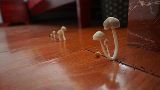 潮濕的地下室對人體有哪些危害？